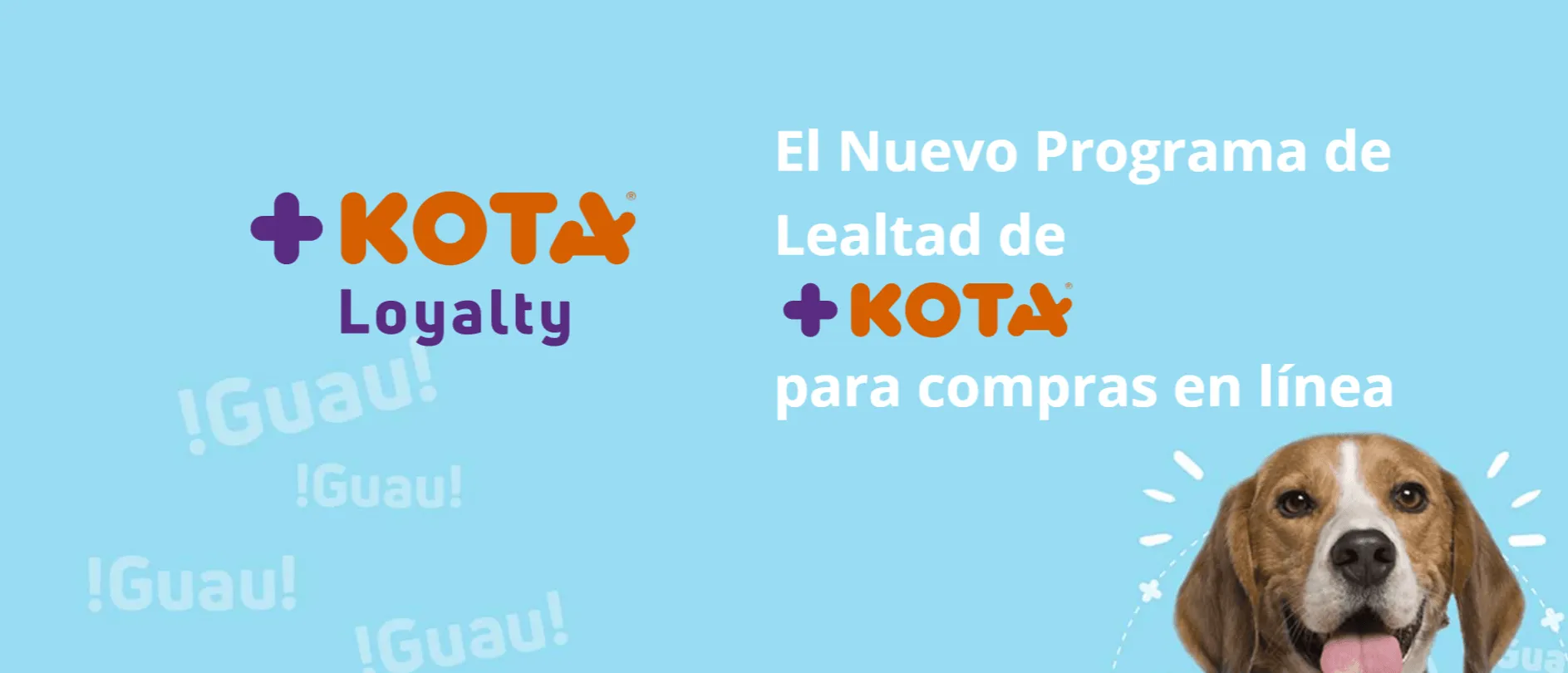 Lanzamiento del Programa de Lealtad +KOTA Loyalty