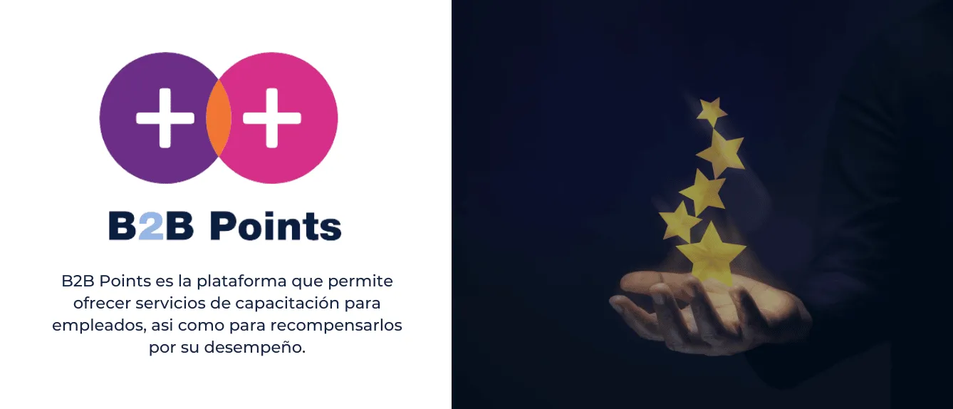 B2B Points: El Futuro de las Soluciones de Fidelización B2B