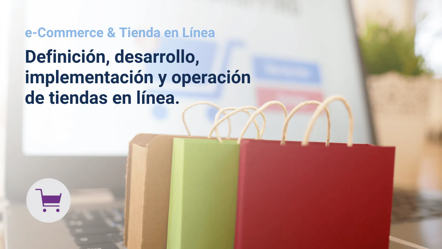 Aumenta la Lealtad y los ingresos de tu empresa con las soluciones integrales de comercio electrónico y fidelización de Blue Pure Loyalty